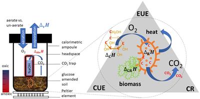Enhancing insights: exploring the information content of calorespirometric ratio in dynamic soil microbial growth processes through calorimetry